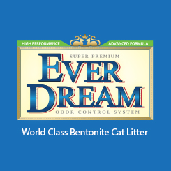everdream